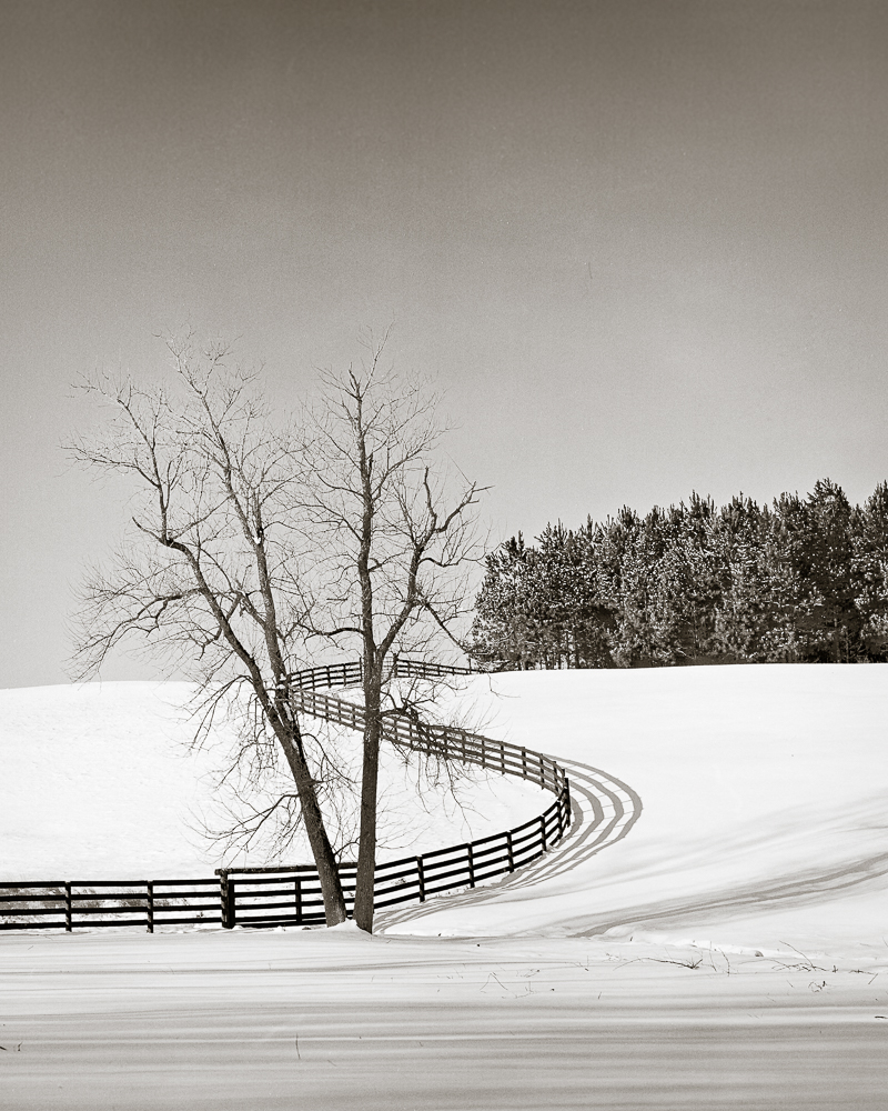 Curved Fence in Snow, Loudoun County